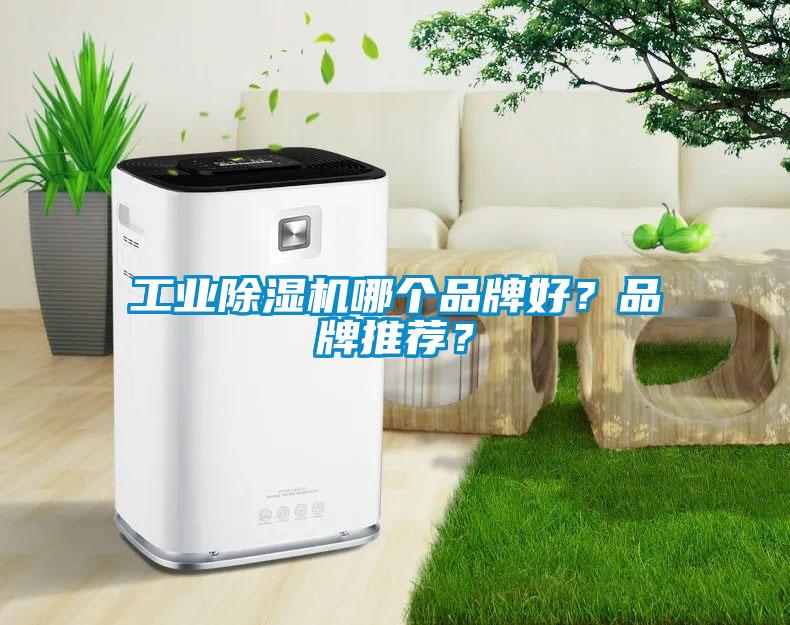 工業(yè)除濕機哪個品牌好？品牌推薦？