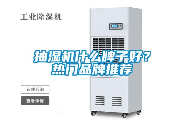 抽濕機(jī)什么牌子好？熱門品牌推薦