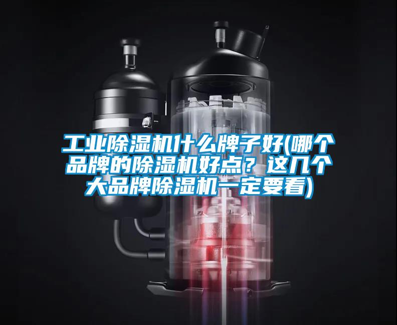 工業(yè)除濕機(jī)什么牌子好(哪個(gè)品牌的除濕機(jī)好點(diǎn)？這幾個(gè)大品牌除濕機(jī)一定要看)