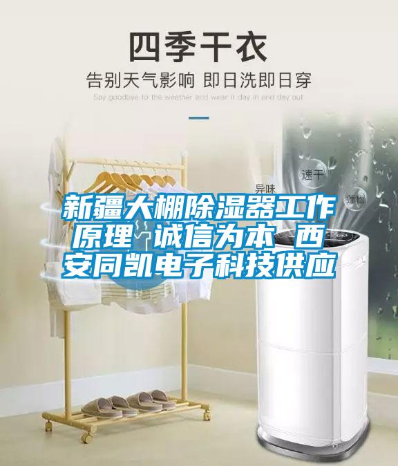 新疆大棚除濕器工作原理 誠(chéng)信為本 西安同凱電子科技供應(yīng)