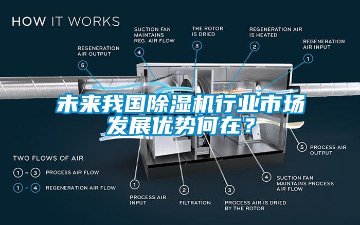 未來我國除濕機(jī)行業(yè)市場發(fā)展優(yōu)勢何在？