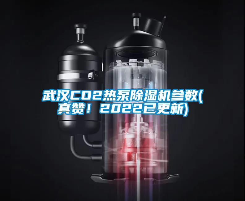 武漢CO2熱泵除濕機(jī)參數(shù)(真贊！2022已更新)