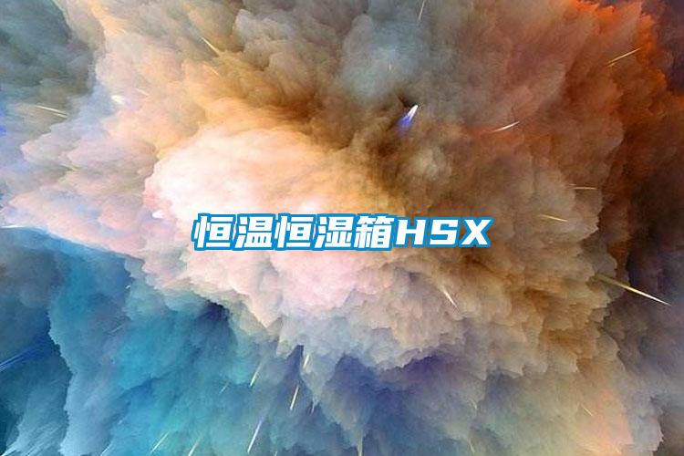 恒溫恒濕箱HSX