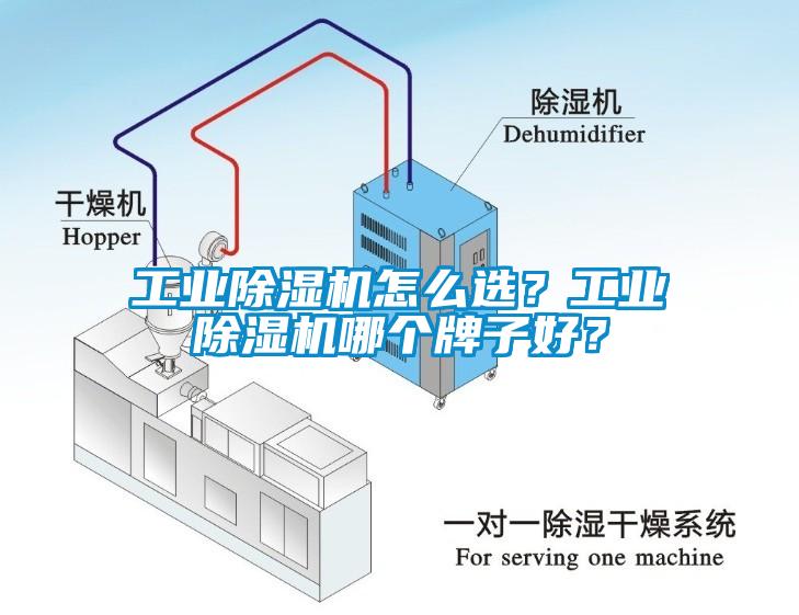 工業(yè)除濕機怎么選？工業(yè)除濕機哪個牌子好？