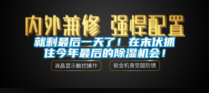 就剩最后一天了！在末伏抓住今年最后的除濕機(jī)會！