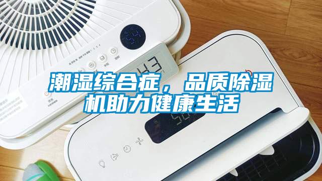 潮濕綜合癥，品質(zhì)除濕機助力健康生活