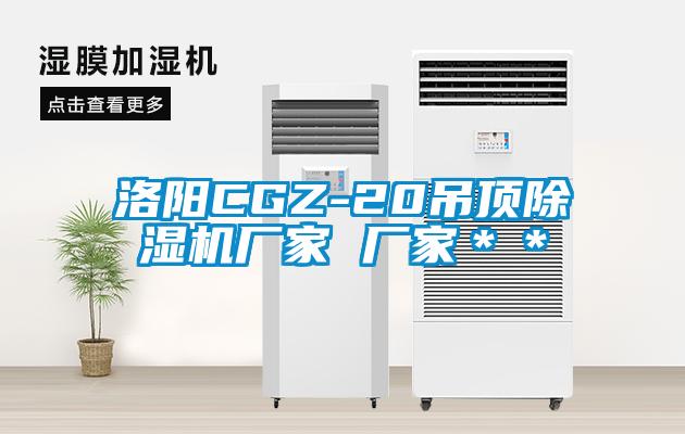 洛陽CGZ-20吊頂除濕機(jī)廠家 廠家＊＊