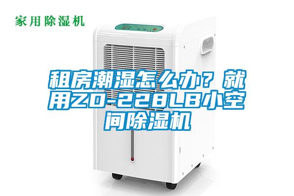 租房潮濕怎么辦？就用ZD-228LB小空間除濕機(jī)