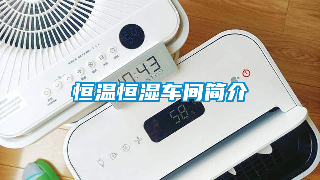 恒溫恒濕車(chē)間簡(jiǎn)介