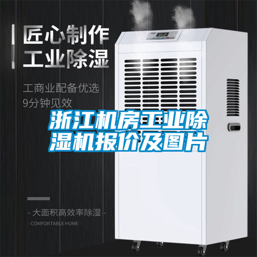 浙江機房工業(yè)除濕機報價及圖片