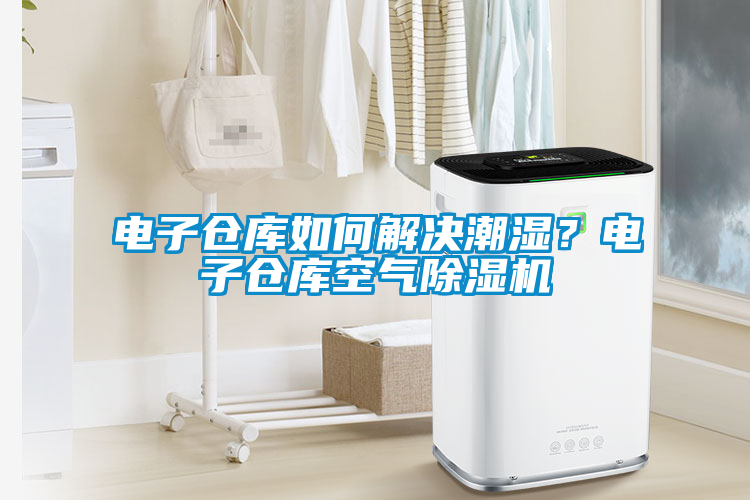 電子倉庫如何解決潮濕？電子倉庫空氣除濕機