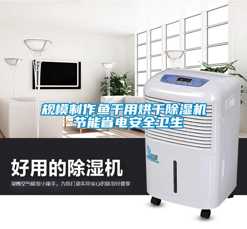 規(guī)模制作魚干用烘干除濕機 節(jié)能省電安全衛(wèi)生