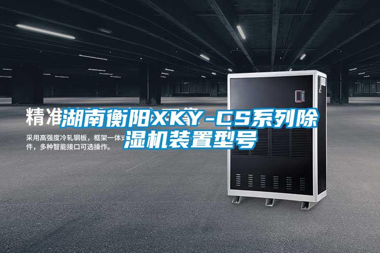 湖南衡陽XKY-CS系列除濕機裝置型號