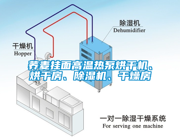 蕎麥掛面高溫?zé)岜煤娓蓹C、烘干房、除濕機、干燥房