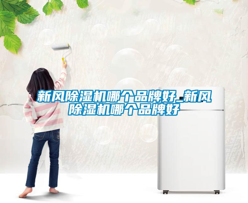 新風(fēng)除濕機哪個品牌好_新風(fēng)除濕機哪個品牌好