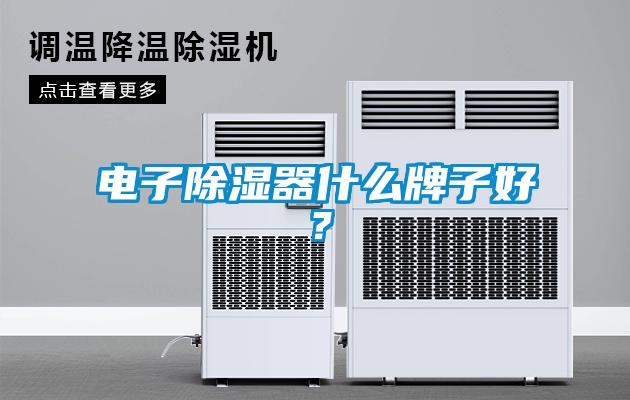 電子除濕器什么牌子好？