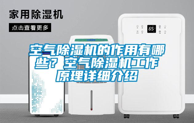 空氣除濕機的作用有哪些？空氣除濕機工作原理詳細介紹