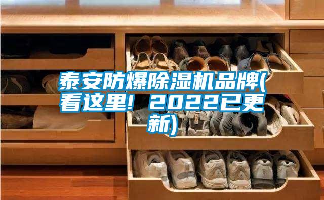 泰安防爆除濕機品牌(看這里! 2022已更新)