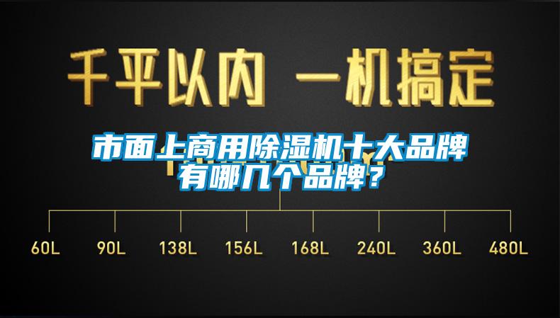 市面上商用除濕機(jī)十大品牌有哪幾個(gè)品牌？