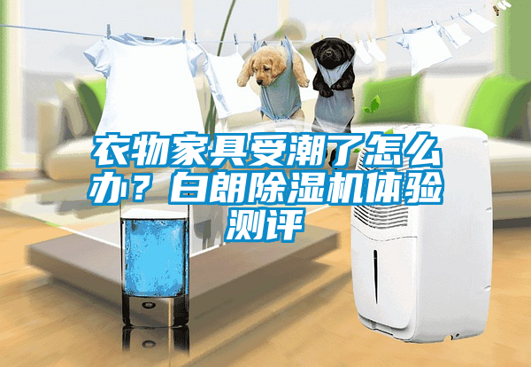 衣物家具受潮了怎么辦？白朗除濕機(jī)體驗測評