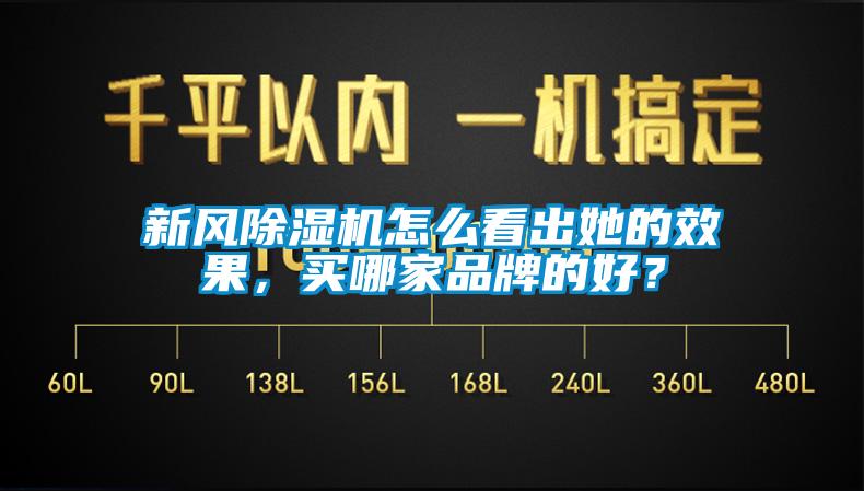 新風(fēng)除濕機(jī)怎么看出她的效果，買哪家品牌的好？