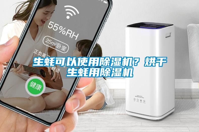 生蠔可以使用除濕機(jī)？烘干生蠔用除濕機(jī)