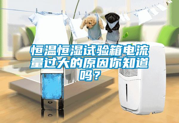 恒溫恒濕試驗箱電流量過大的原因你知道嗎？