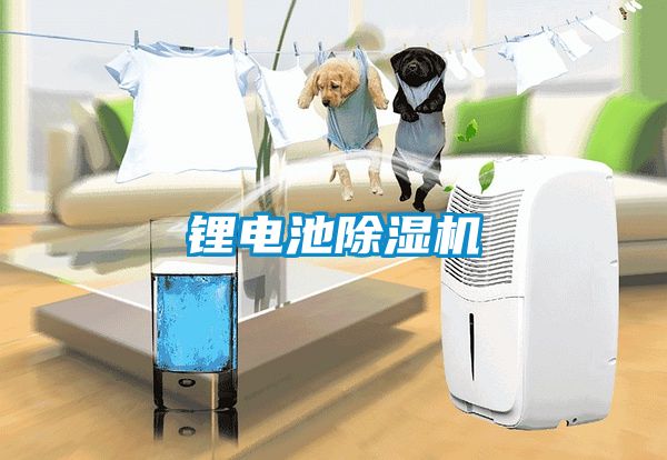 鋰電池除濕機