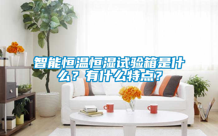 智能恒溫恒濕試驗(yàn)箱是什么？有什么特點(diǎn)？