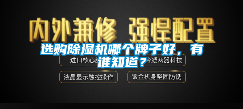 選購除濕機(jī)哪個(gè)牌子好，有誰知道？