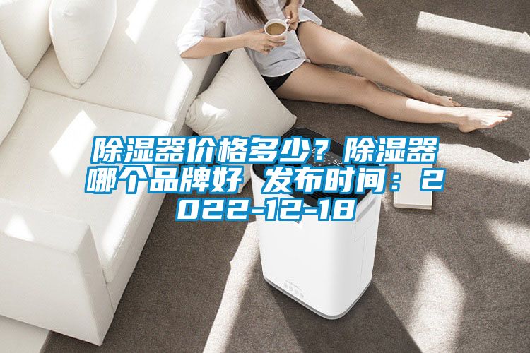 除濕器價格多少？除濕器哪個品牌好 發(fā)布時間：2022-12-18