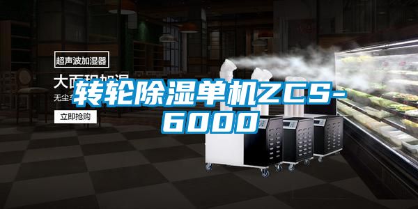 轉(zhuǎn)輪除濕單機(jī)ZCS-6000