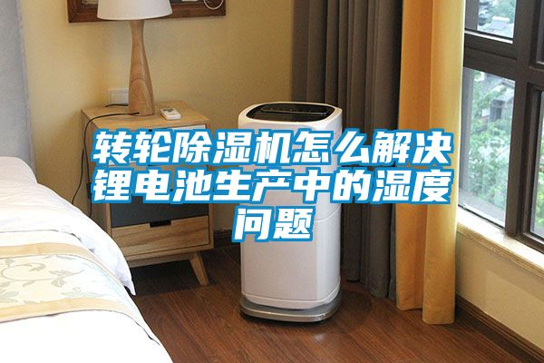 轉輪除濕機怎么解決鋰電池生產中的濕度問題