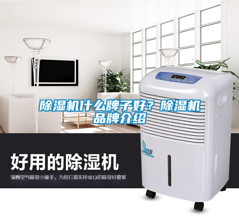 除濕機什么牌子好？除濕機品牌介紹