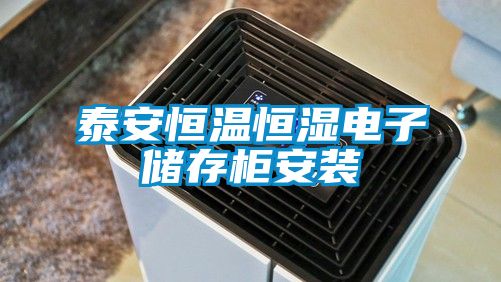 泰安恒溫恒濕電子儲存柜安裝