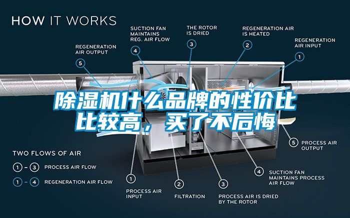 除濕機(jī)什么品牌的性價(jià)比比較高，買了不后悔