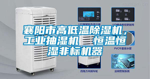 襄陽市高低溫除濕機，工業(yè)抽濕機  恒溫恒濕非標機器