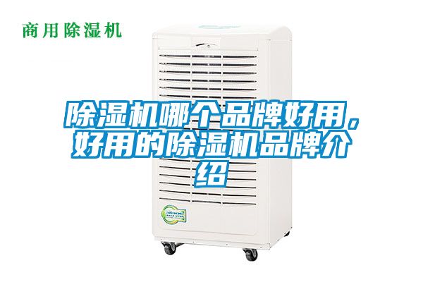 除濕機哪個品牌好用，好用的除濕機品牌介紹