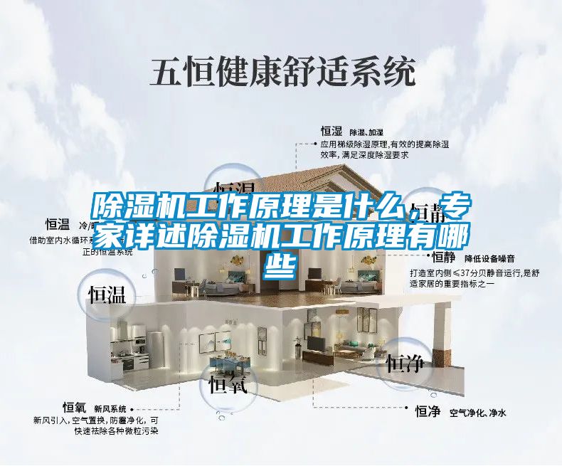 除濕機工作原理是什么，專家詳述除濕機工作原理有哪些