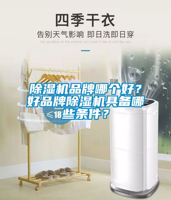 除濕機(jī)品牌哪個(gè)好？好品牌除濕機(jī)具備哪些條件？