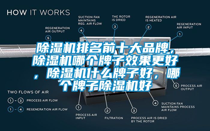 除濕機排名前十大品牌，除濕機哪個牌子效果更好，除濕機什么牌子好，哪個牌子除濕機好