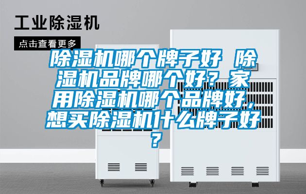 除濕機哪個牌子好 除濕機品牌哪個好？家用除濕機哪個品牌好，想買除濕機什么牌子好？