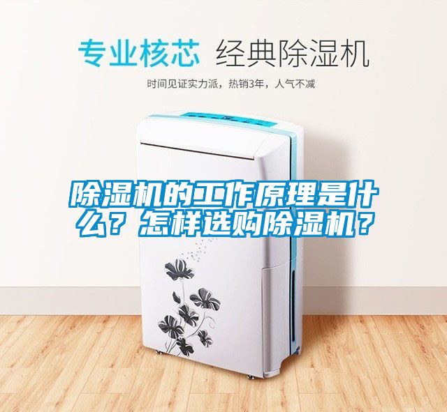 除濕機的工作原理是什么？怎樣選購除濕機？