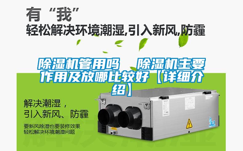 除濕機管用嗎  除濕機主要作用及放哪比較好【詳細介紹】