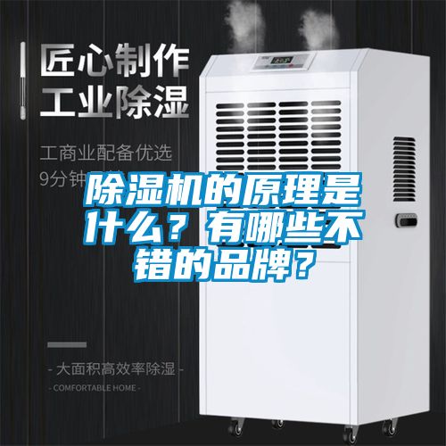 除濕機(jī)的原理是什么？有哪些不錯(cuò)的品牌？