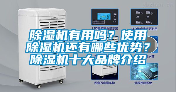 除濕機(jī)有用嗎？使用除濕機(jī)還有哪些優(yōu)勢？除濕機(jī)十大品牌介紹