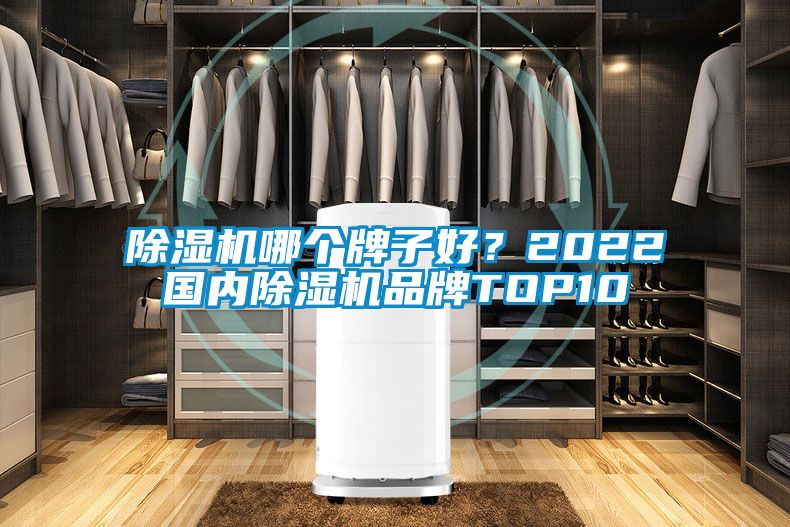 除濕機(jī)哪個(gè)牌子好？2022國內(nèi)除濕機(jī)品牌TOP10