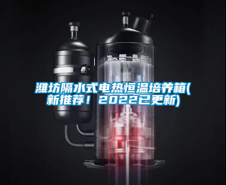 濰坊隔水式電熱恒溫培養(yǎng)箱(新推薦！2022已更新)