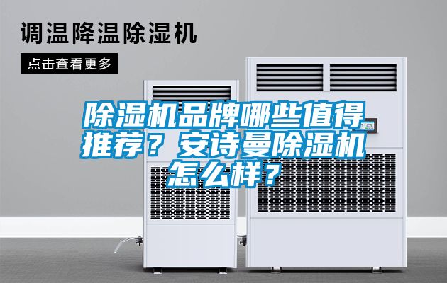 除濕機品牌哪些值得推薦？安詩曼除濕機怎么樣？