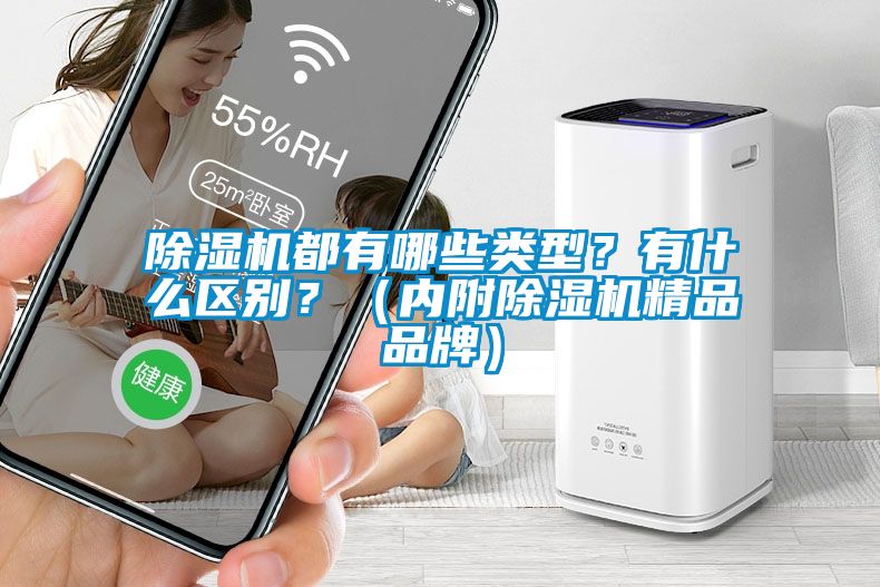 除濕機都有哪些類型？有什么區(qū)別？（內(nèi)附除濕機精品品牌）